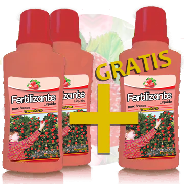 2 + 1 Fertilizante líquido para fresas trepadoras
