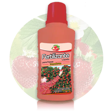 Fertilizante líquido para fresas trepadoras